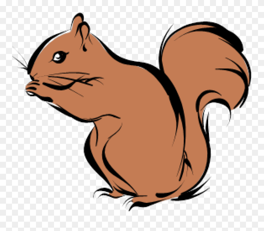 Detail Squirrel Transparent Background Nomer 23
