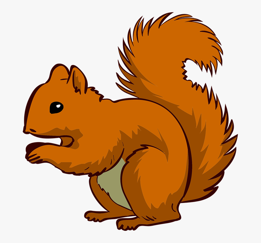 Detail Squirrel Transparent Background Nomer 26