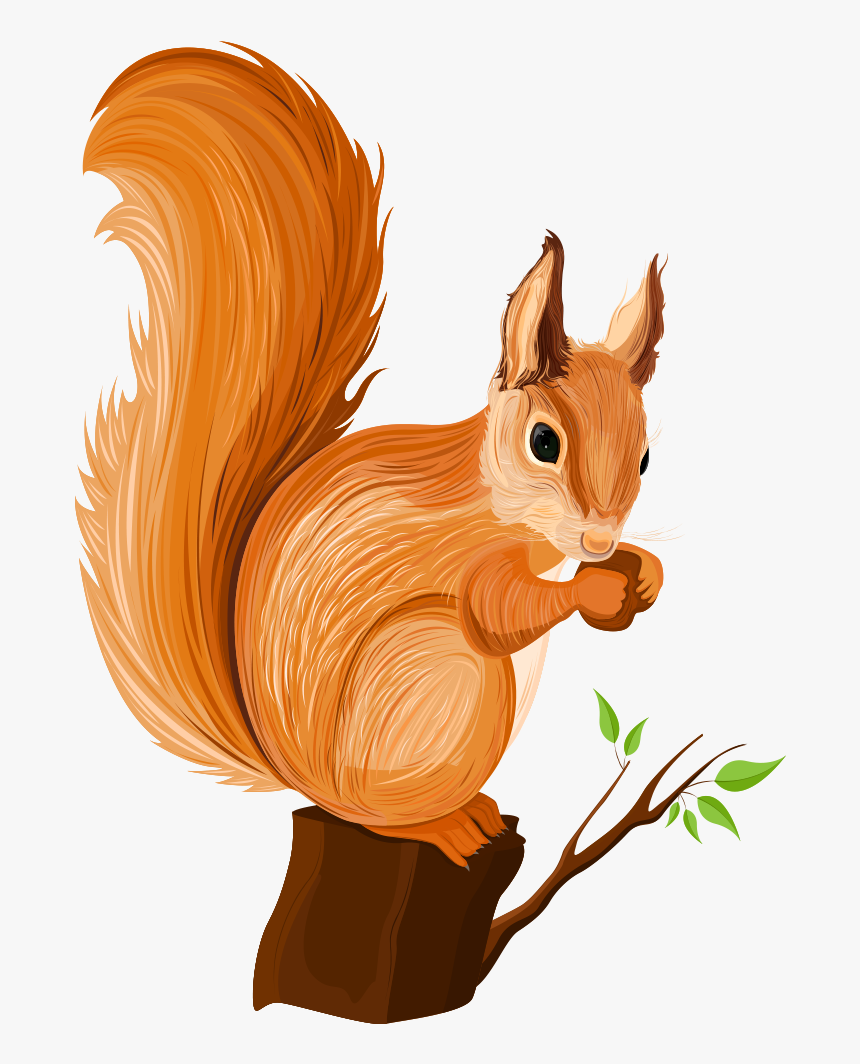 Detail Squirrel Transparent Background Nomer 28