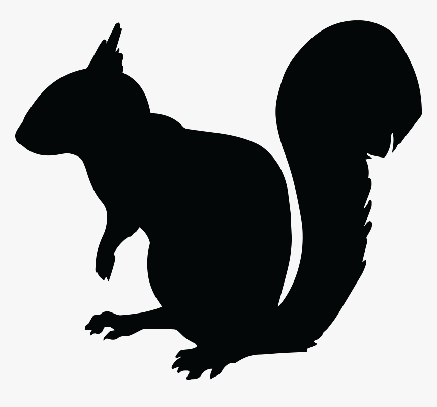 Detail Squirrel Transparent Background Nomer 43