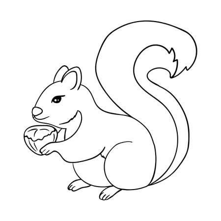 Detail Squirrell Clipart Nomer 23