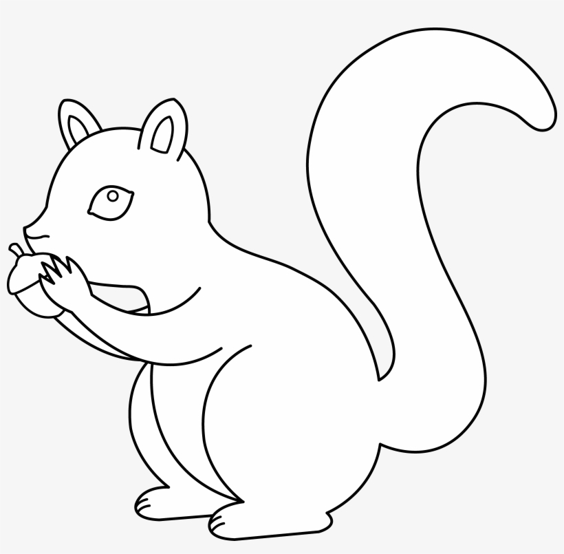 Detail Squirrell Clipart Nomer 29