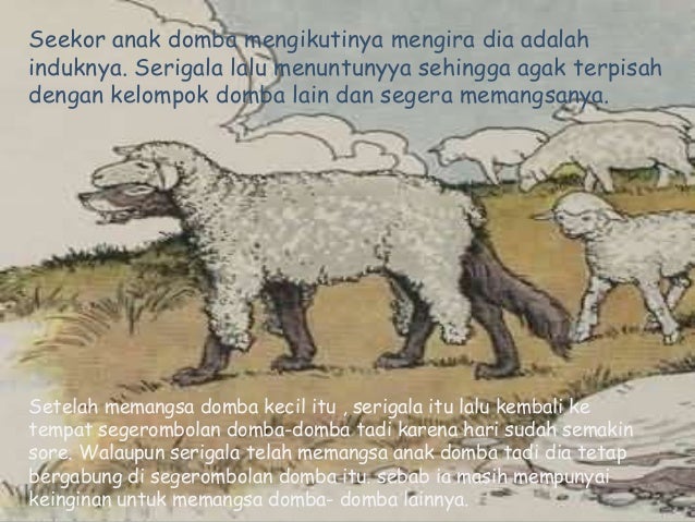 Detail Srigala Berbulu Domba Nomer 27