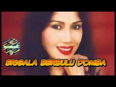 Detail Srigala Berbulu Domba Nomer 32