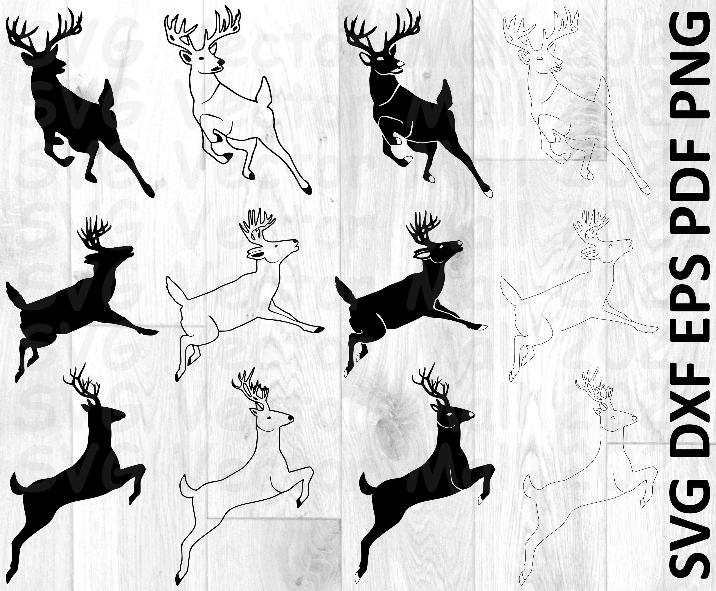 Detail Stag Clipart Nomer 9