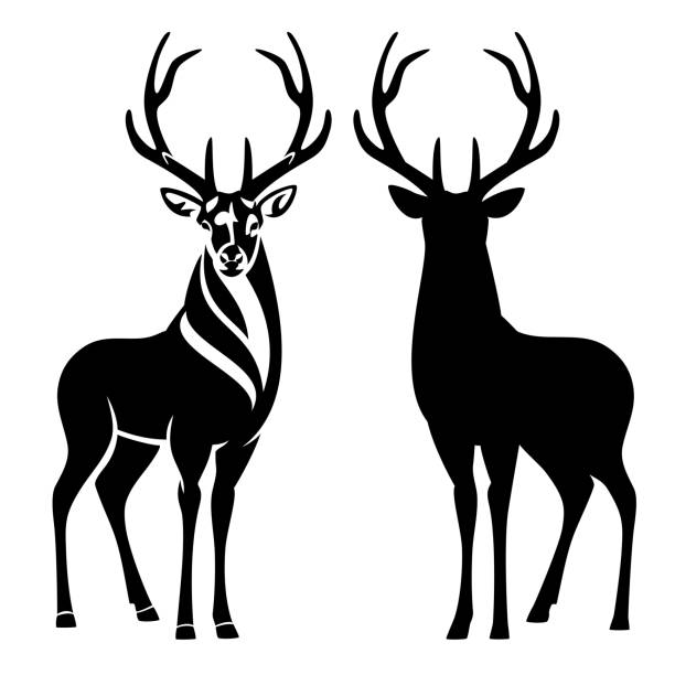 Detail Stag Clipart Nomer 17