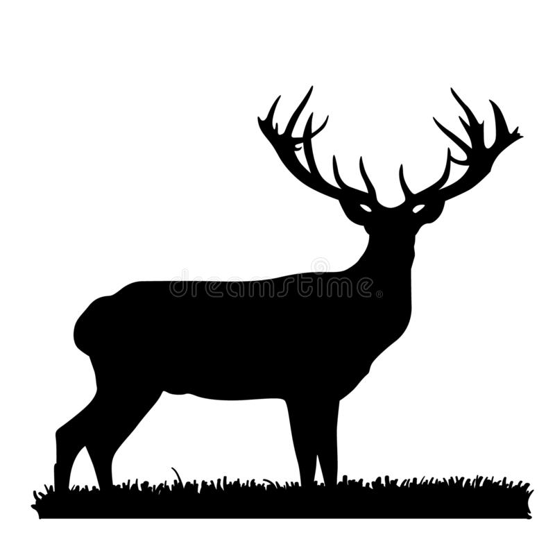 Detail Stag Clipart Nomer 28