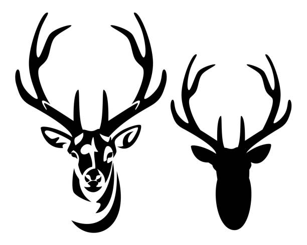 Detail Stag Clipart Nomer 29