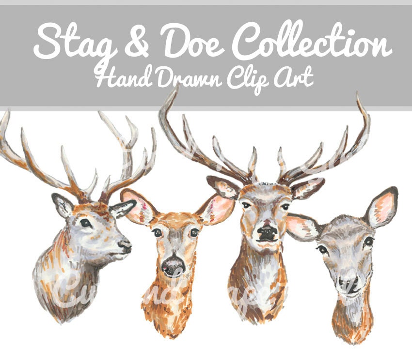 Detail Stag Clipart Nomer 30