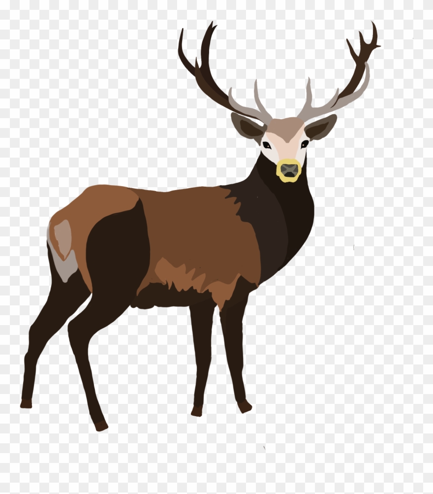 Detail Stag Clipart Nomer 3