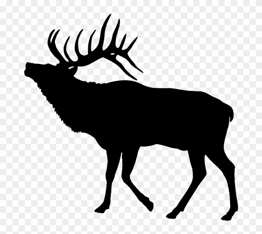 Detail Stag Clipart Nomer 42