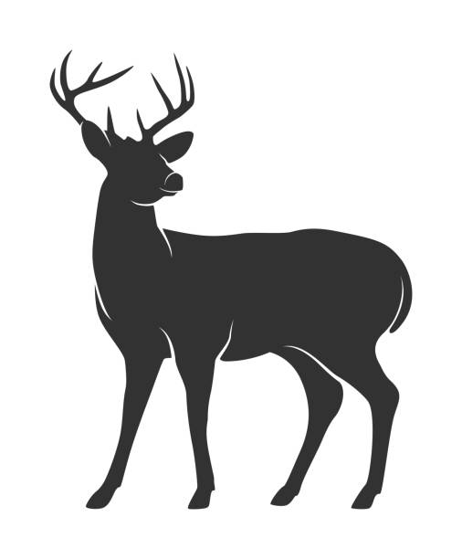 Detail Stag Clipart Nomer 4