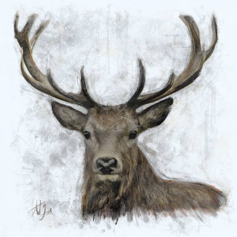 Detail Stag Illustrations Nomer 15