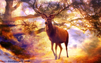 Detail Stag Wallpapers Nomer 24