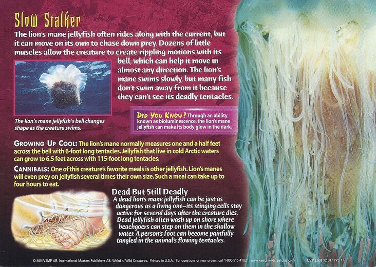 Detail Stalker Jellyfish Nomer 29