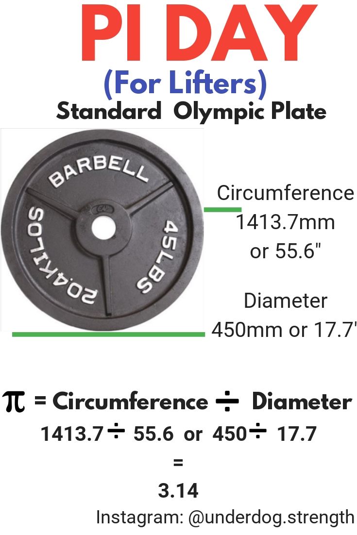 Detail Standard Plate Diameter Nomer 5