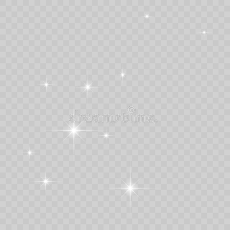 Detail Star Vector Transparent Background Nomer 44