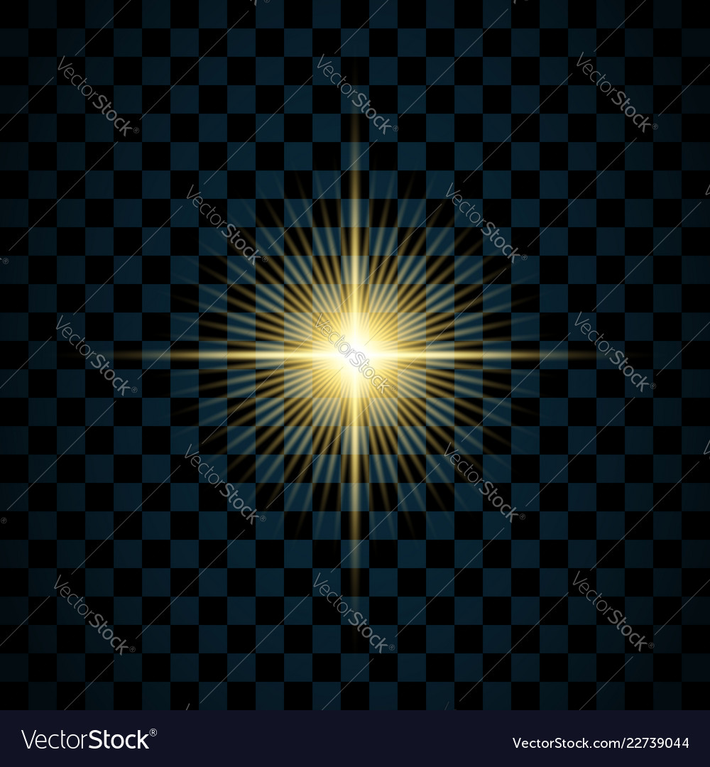 Detail Star Vector Transparent Background Nomer 48