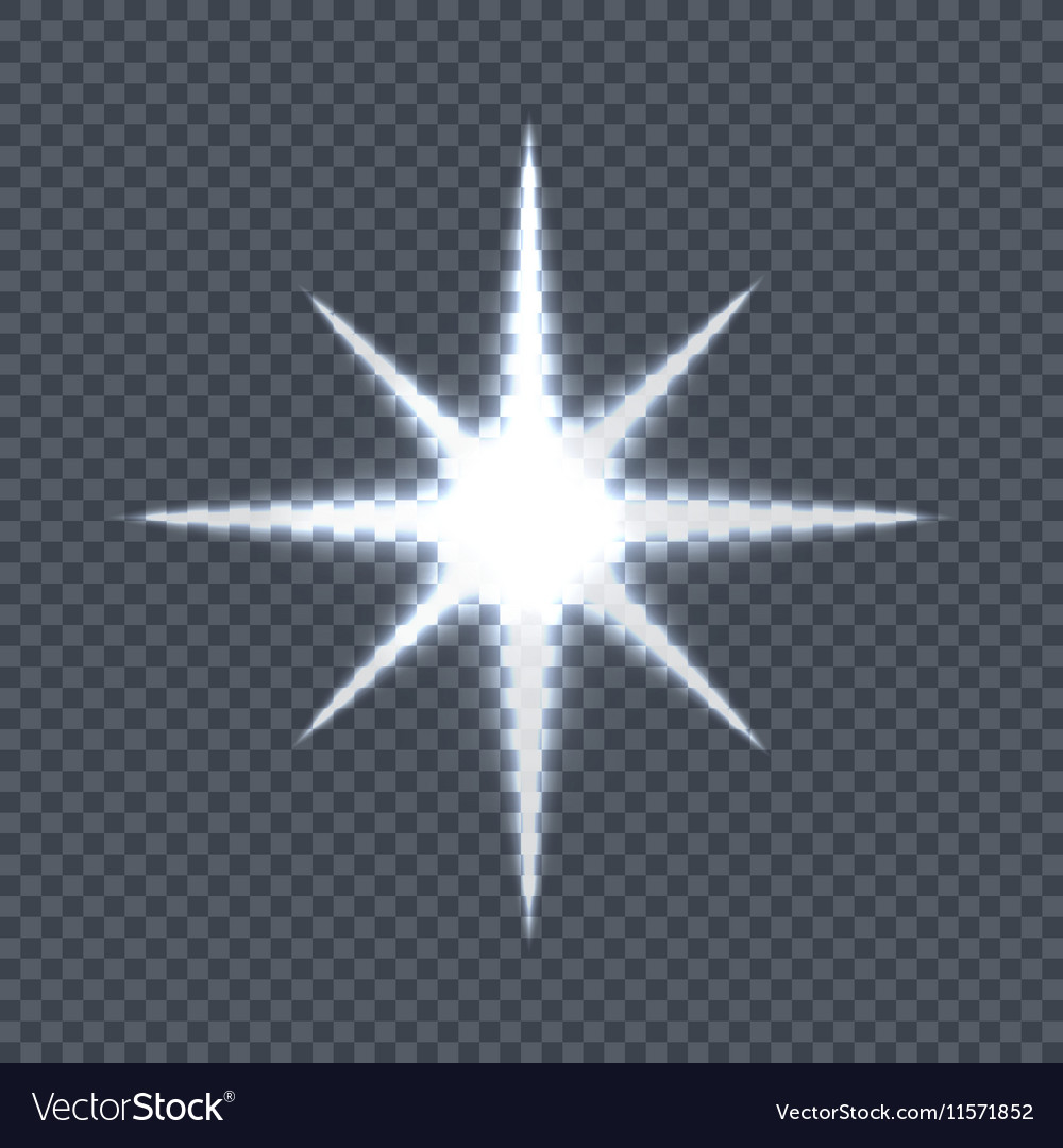 Detail Star Vector Transparent Background Nomer 49