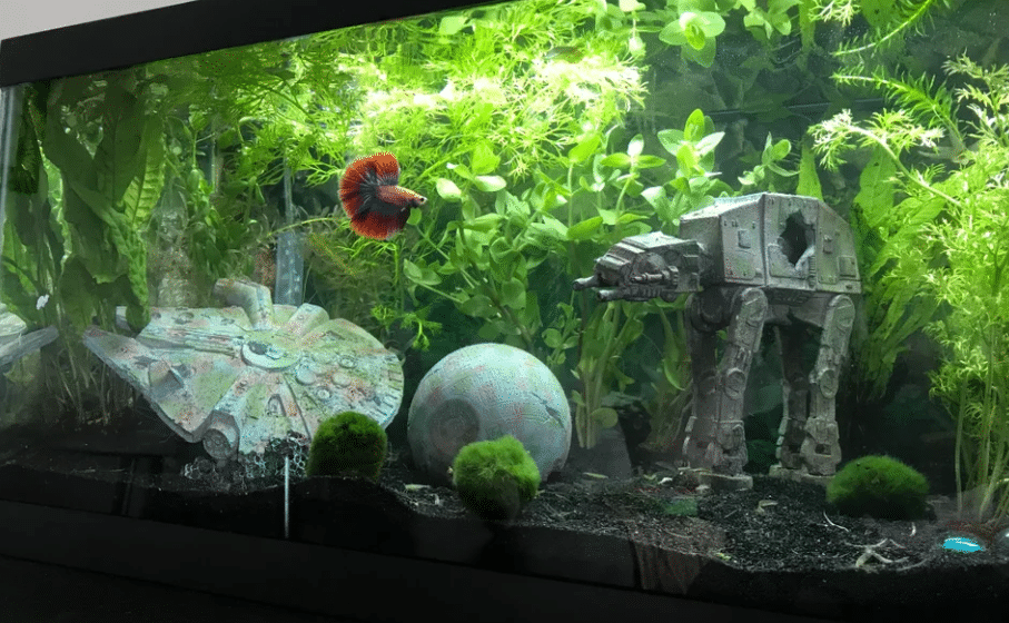 Star Wars Aquarium Background - KibrisPDR