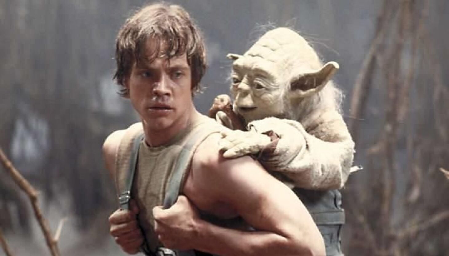 Detail Star Wars Luke Skywalker Nomer 36