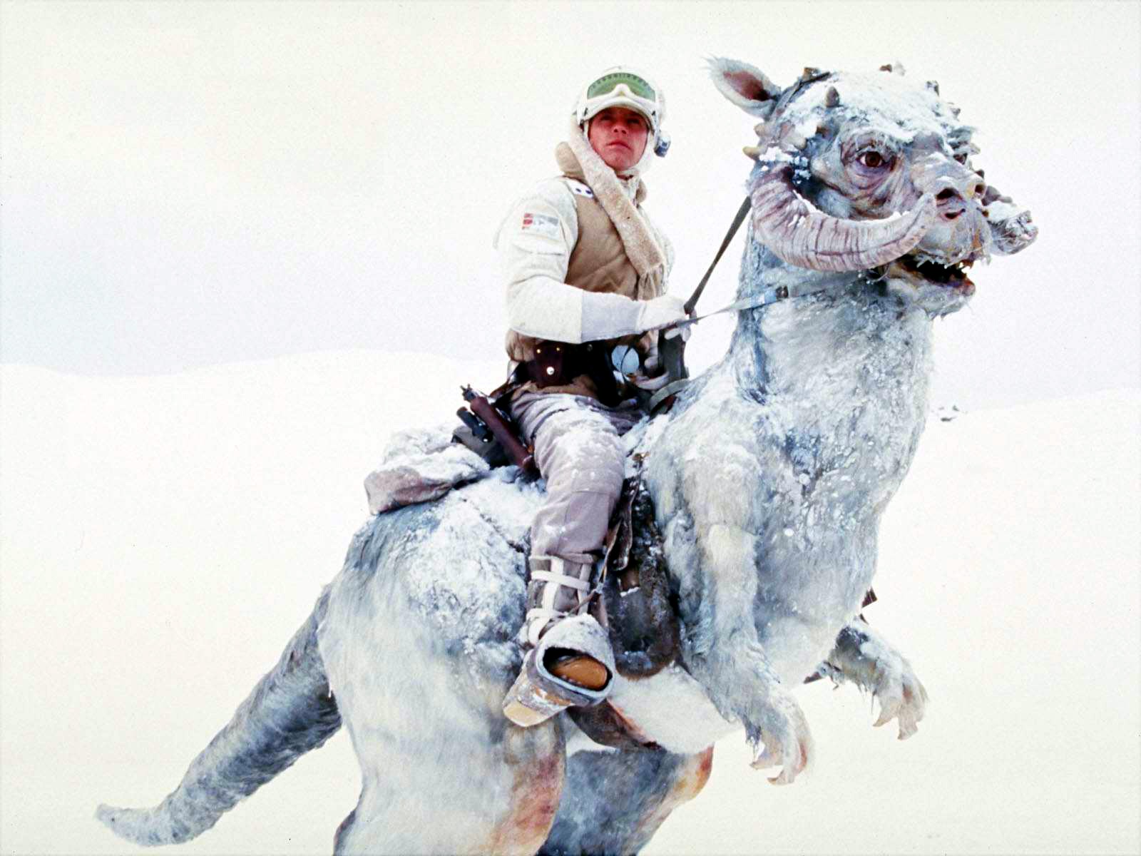 Detail Star Wars Snow Camel Nomer 7