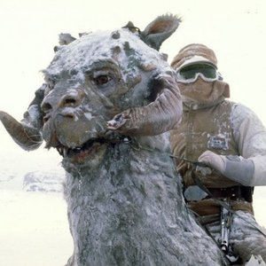 Detail Star Wars Snow Camel Nomer 8