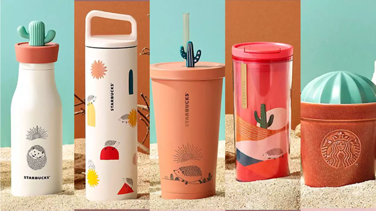 Detail Starbucks Hedgehog Nomer 14