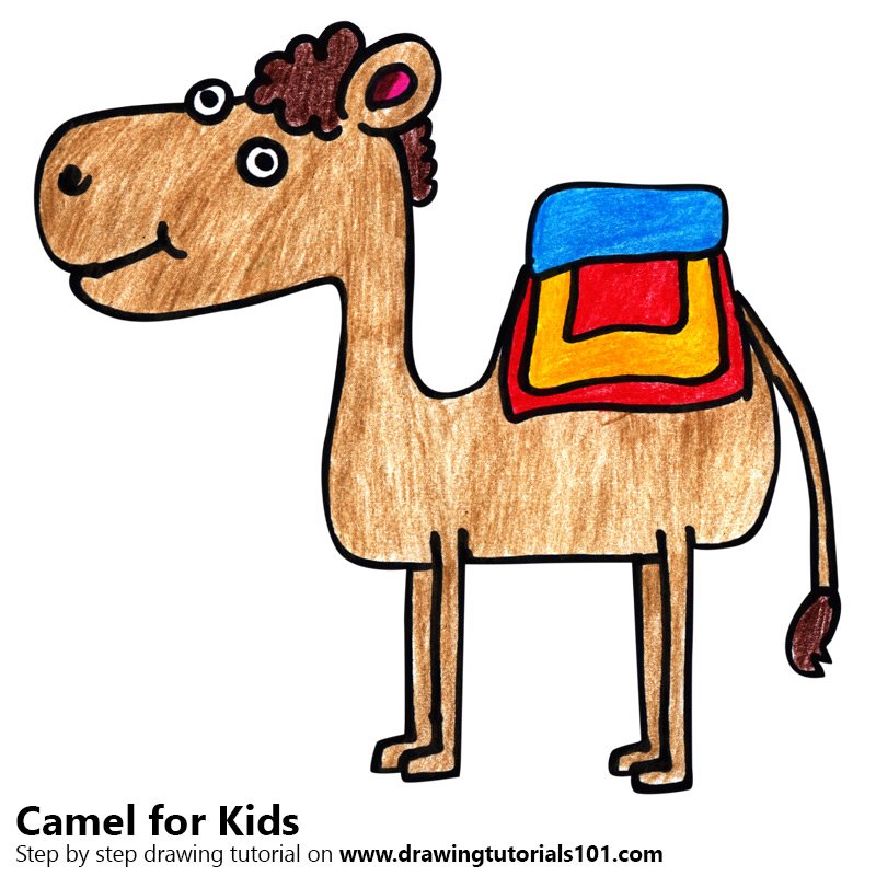 Detail Camel Drawing Nomer 12