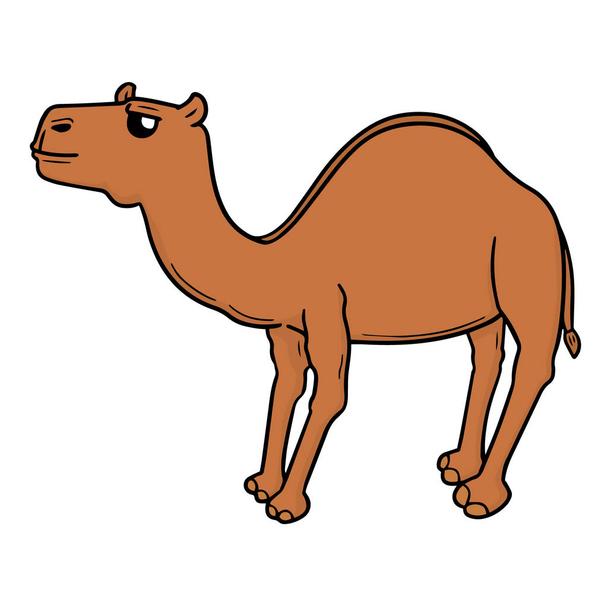 Detail Camel Drawing Nomer 14