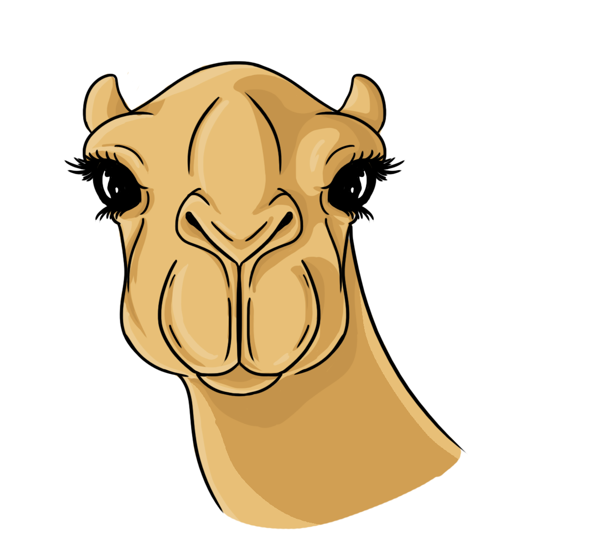 Detail Camel Drawing Nomer 15