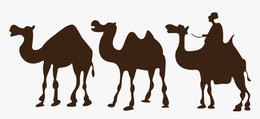 Detail Camel Drawing Nomer 16