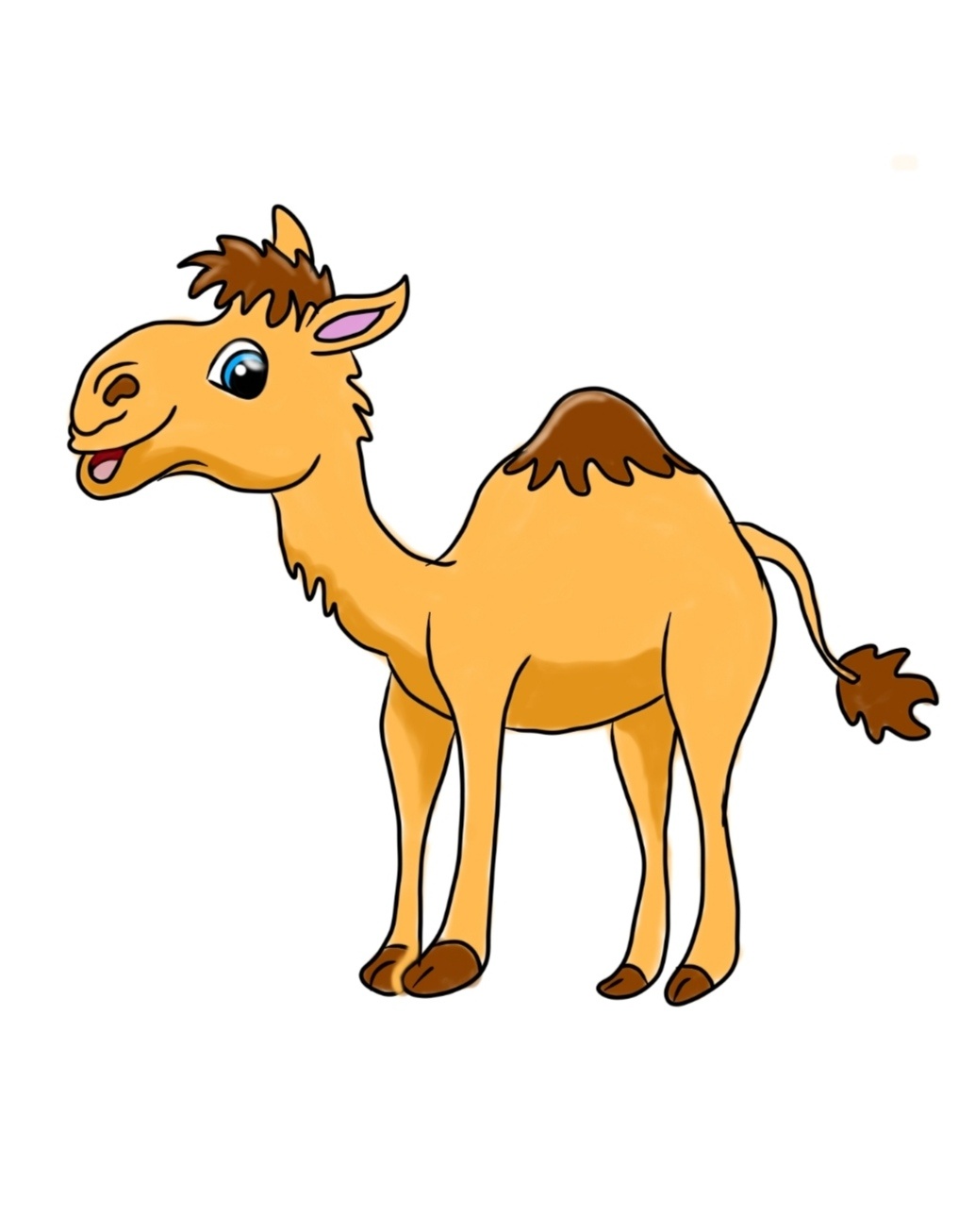 Detail Camel Drawing Nomer 2