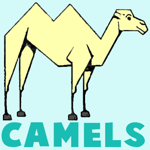 Detail Camel Drawing Nomer 18