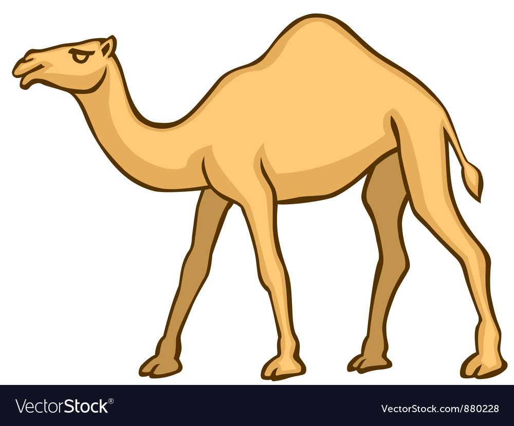 Detail Camel Drawing Nomer 24