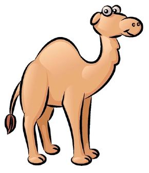 Detail Camel Drawing Nomer 3