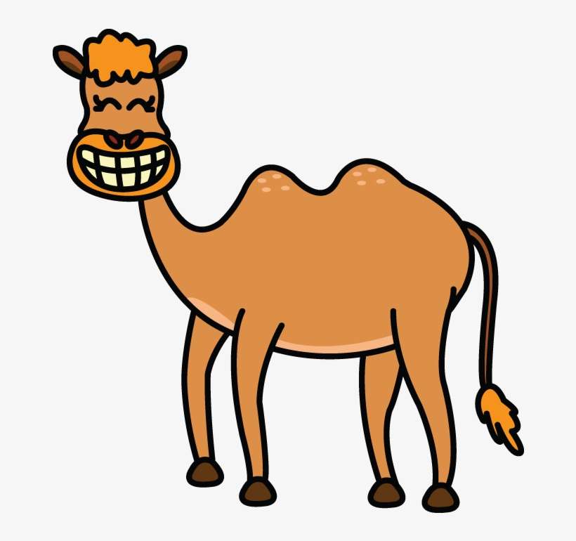 Detail Camel Drawing Nomer 4