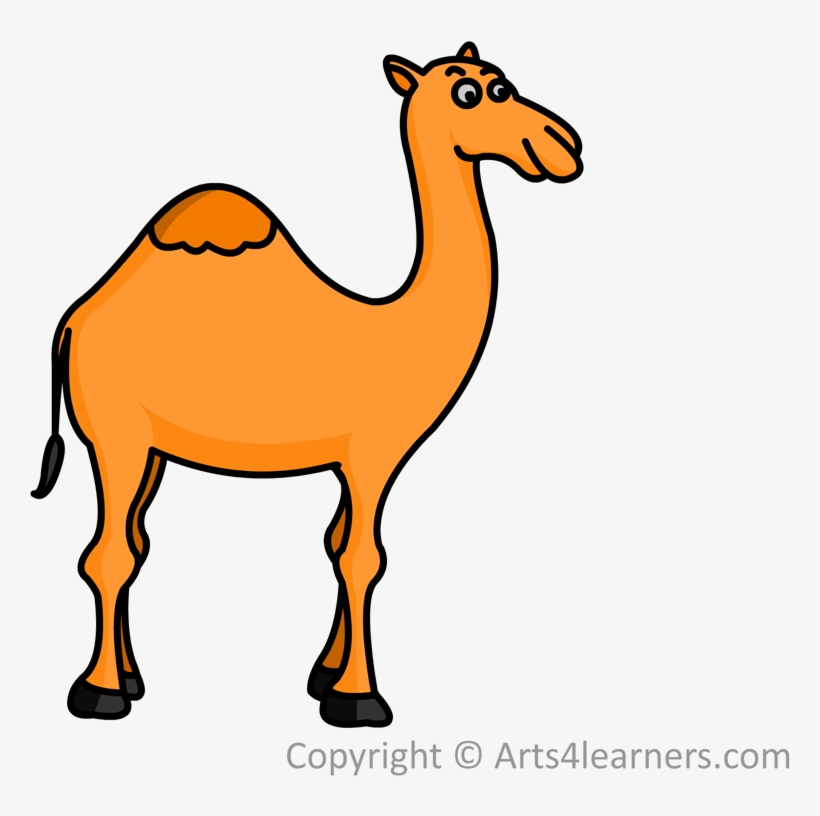 Detail Camel Drawing Nomer 7