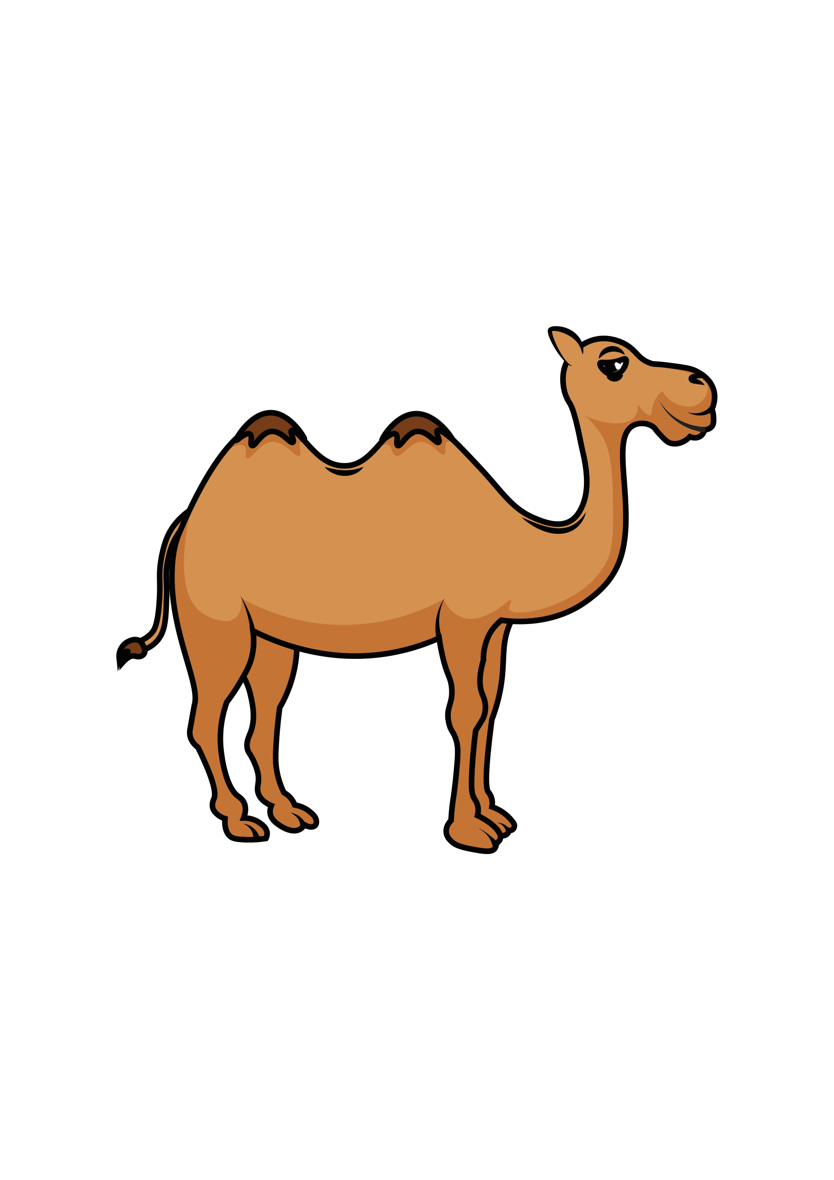 Detail Camel Drawing Nomer 8