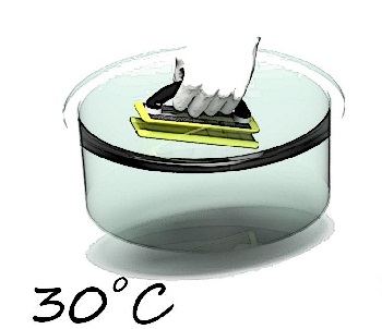Detail Clean Blind Rolladen Nomer 4