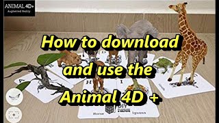 Detail Download Gambar Animal 4d Nomer 42