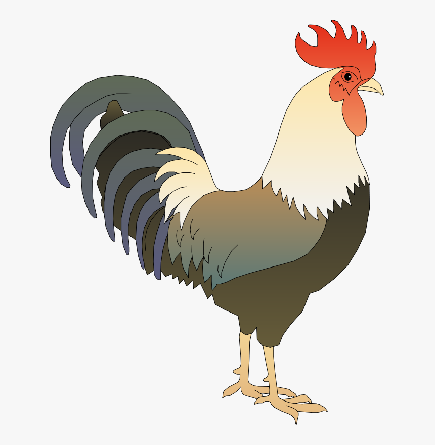 Download Gambar Ayam - KibrisPDR