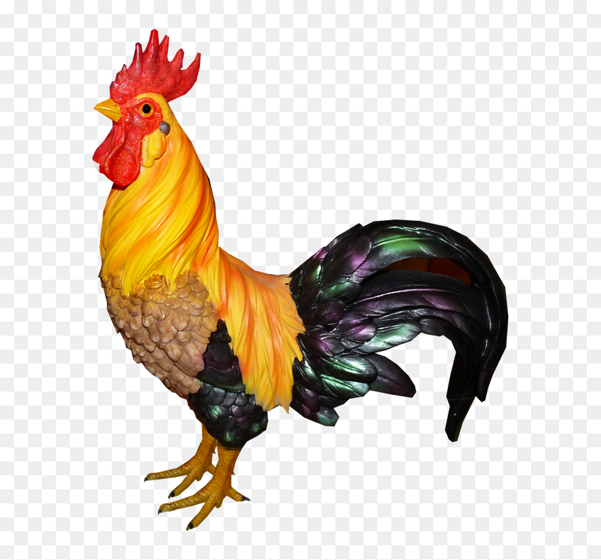 Detail Download Gambar Ayam Nomer 18