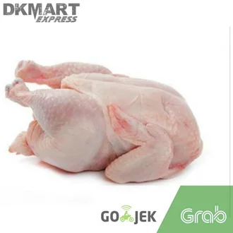 Detail Download Gambar Ayam Potong Nomer 14
