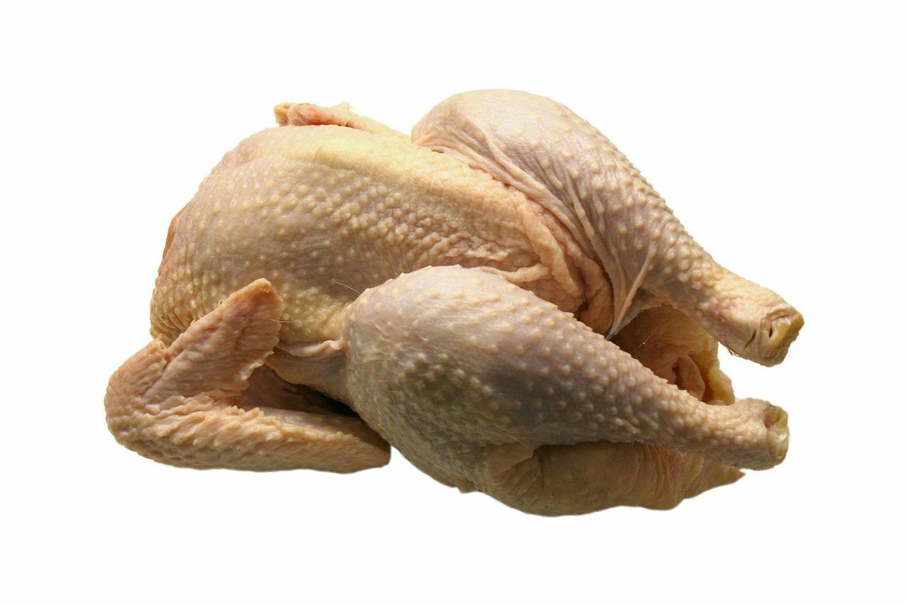 Detail Download Gambar Ayam Potong Nomer 16