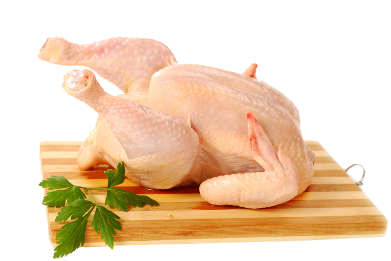 Detail Download Gambar Ayam Potong Nomer 34