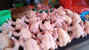 Detail Download Gambar Ayam Potong Nomer 35