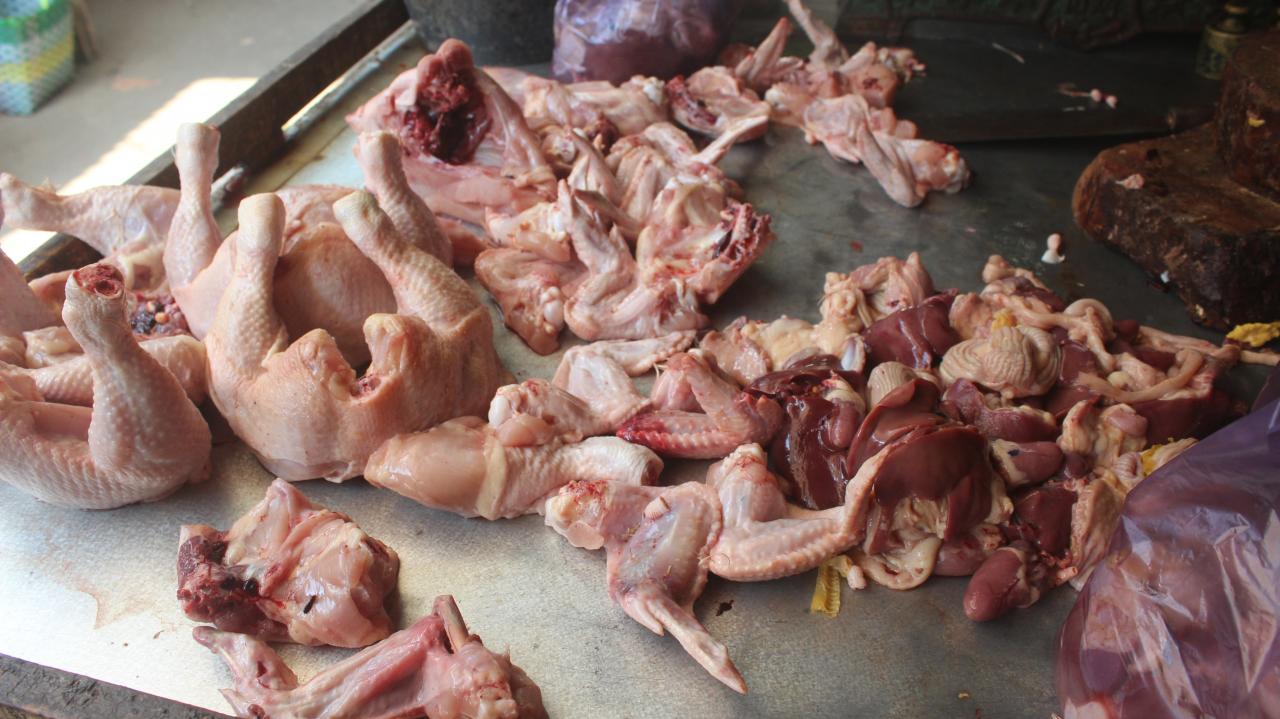 Detail Download Gambar Ayam Potong Nomer 39