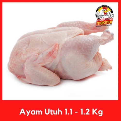 Detail Download Gambar Ayam Potong Nomer 54
