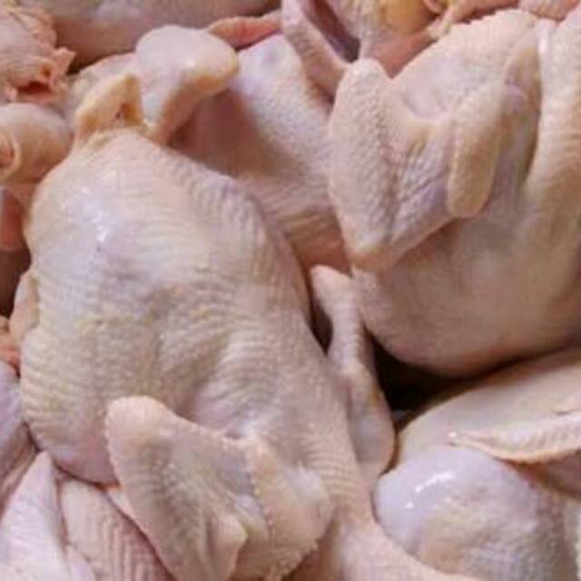 Detail Download Gambar Ayam Potong Nomer 9